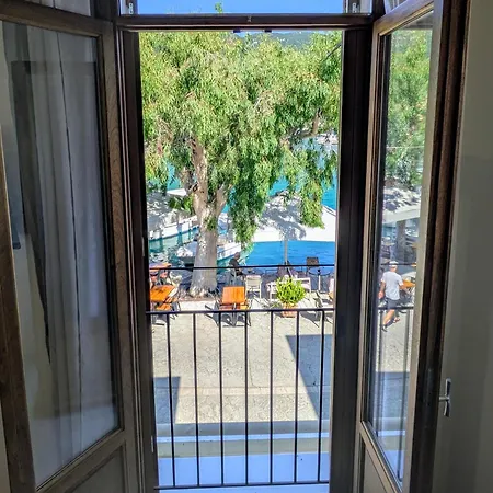 Mirabilis Βασιλική